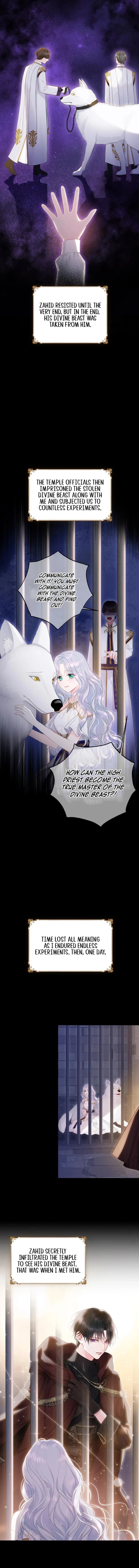 Page https://readmanhwaverse.com/images/the-strongest-brother-lost-his-memory/chapter-7/ch_7_11.jpg