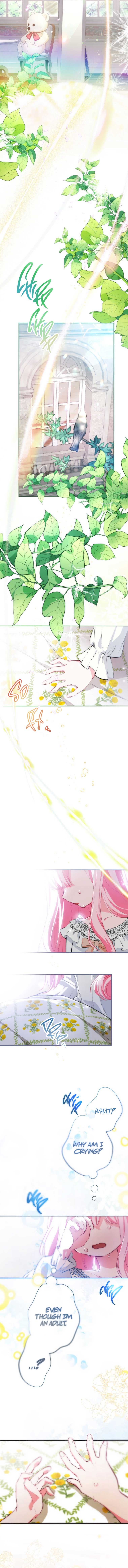 Page https://readmanhwaverse.com/images/the-young-lord-of-house-finlanz/chapter-2/1.jpg