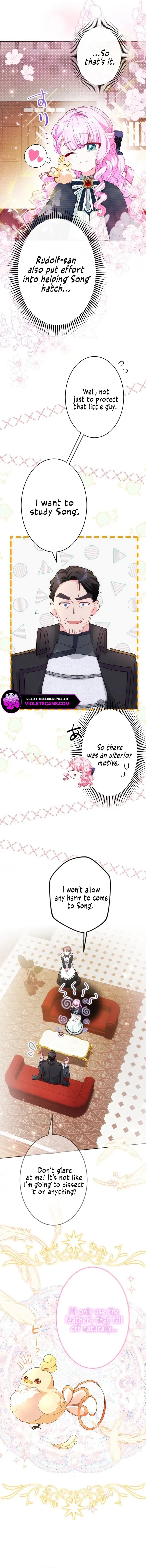 Page https://readmanhwaverse.com/images/the-young-lord-of-house-finlanz/chapter-24/ch_24_10.webp