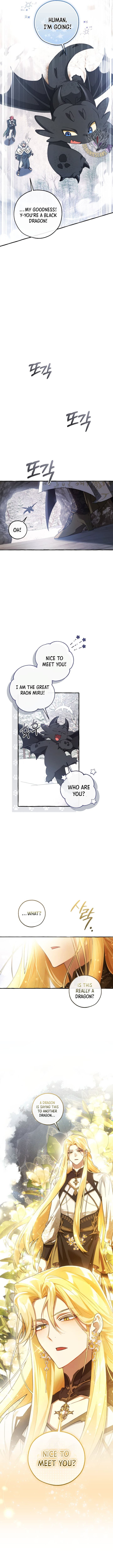 Page https://readmanhwaverse.com/images/trash-of-the-counts-family/chapter-143/ch_143_12.jpg