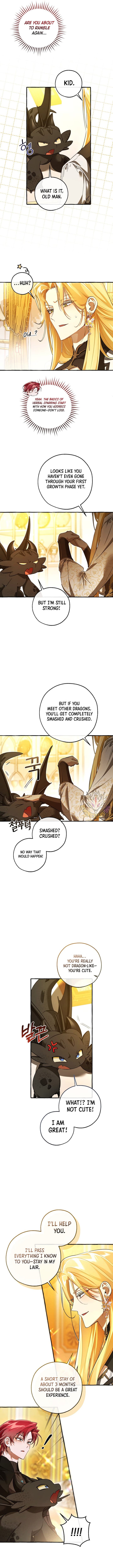 Page https://readmanhwaverse.com/images/trash-of-the-counts-family/chapter-145/ch_145_11.jpg