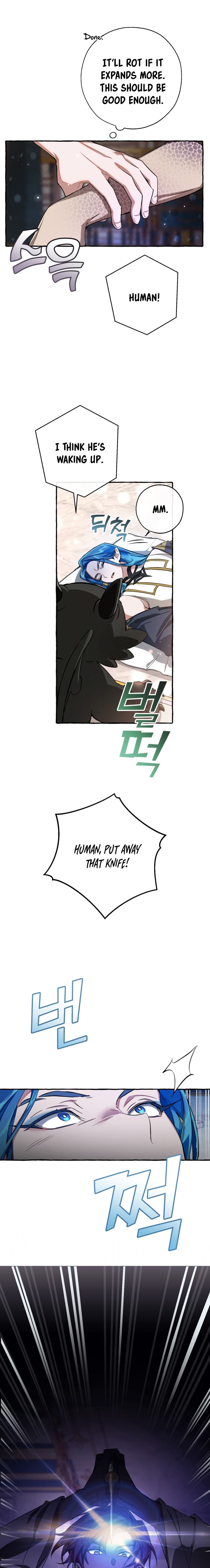 Page https://readmanhwaverse.com/images/trash-of-the-counts-family/chapter-72/7.jpg