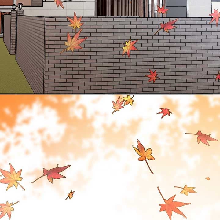 Page https://readmanhwaverse.com/images/walk-with-you/chapter-43/157.jpg