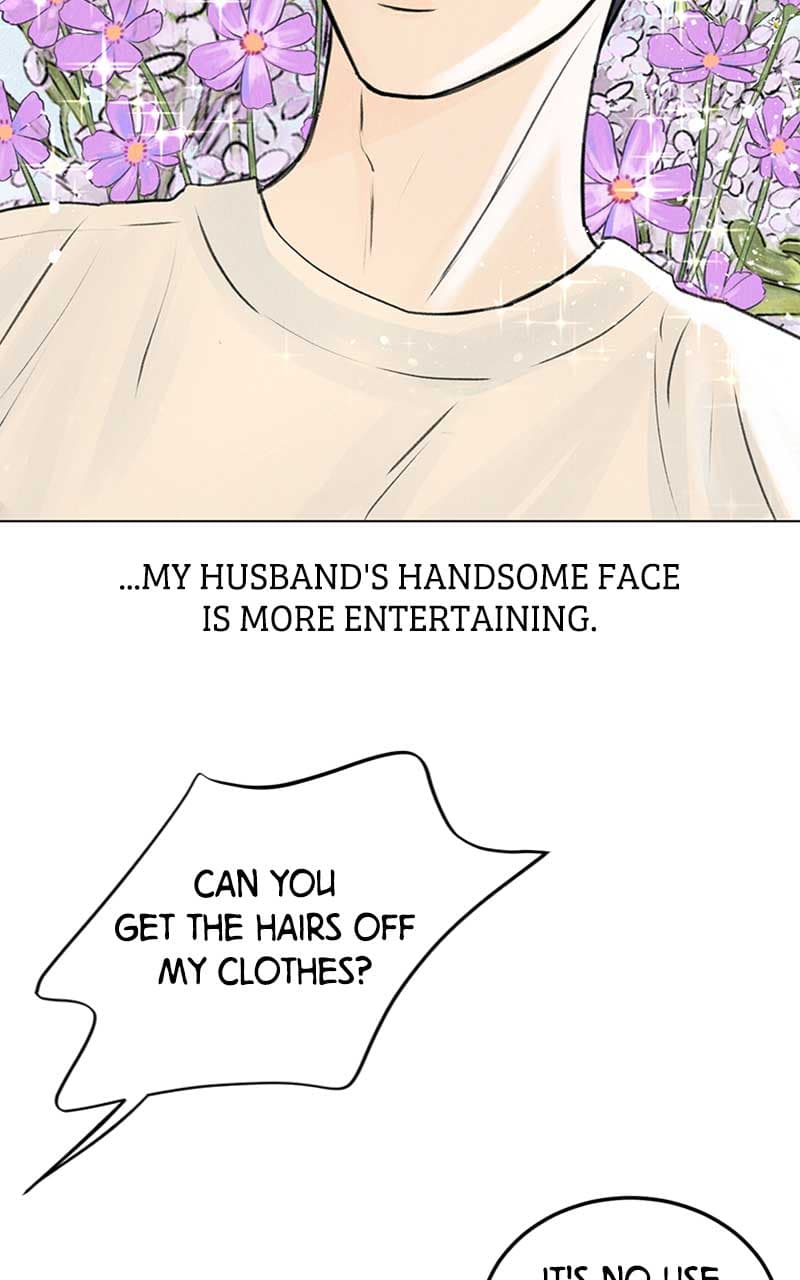 Page https://readmanhwaverse.com/images/want-to-see-my-cat/chapter-1/005.jpg