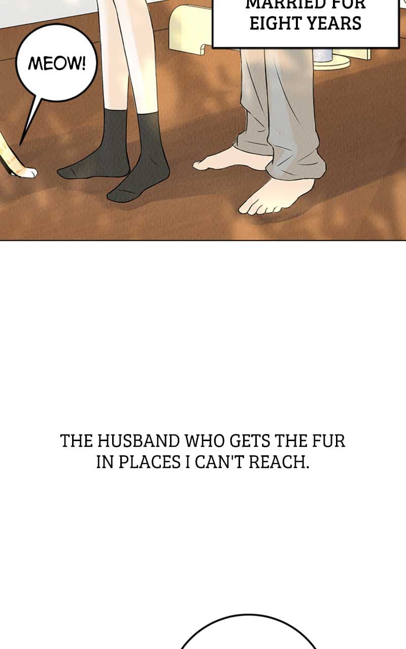 Page https://readmanhwaverse.com/images/want-to-see-my-cat/chapter-1/007.jpg
