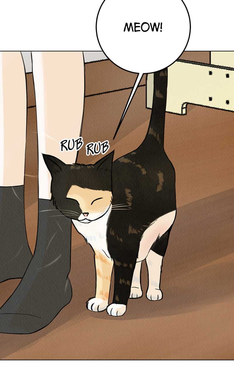 Page https://readmanhwaverse.com/images/want-to-see-my-cat/chapter-1/008.jpg