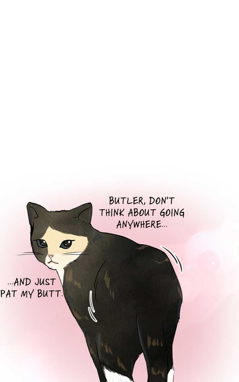 Page https://readmanhwaverse.com/images/want-to-see-my-cat/chapter-1/009.jpg