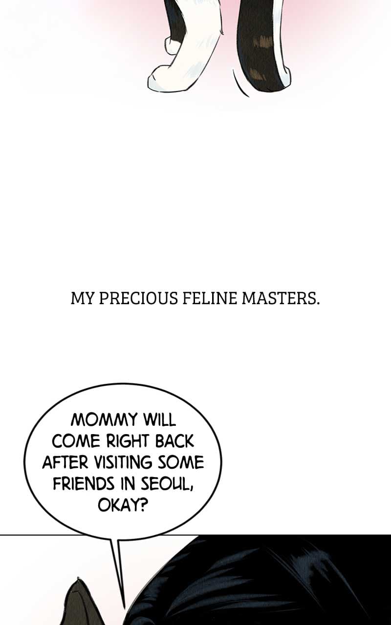 Page https://readmanhwaverse.com/images/want-to-see-my-cat/chapter-1/010.jpg