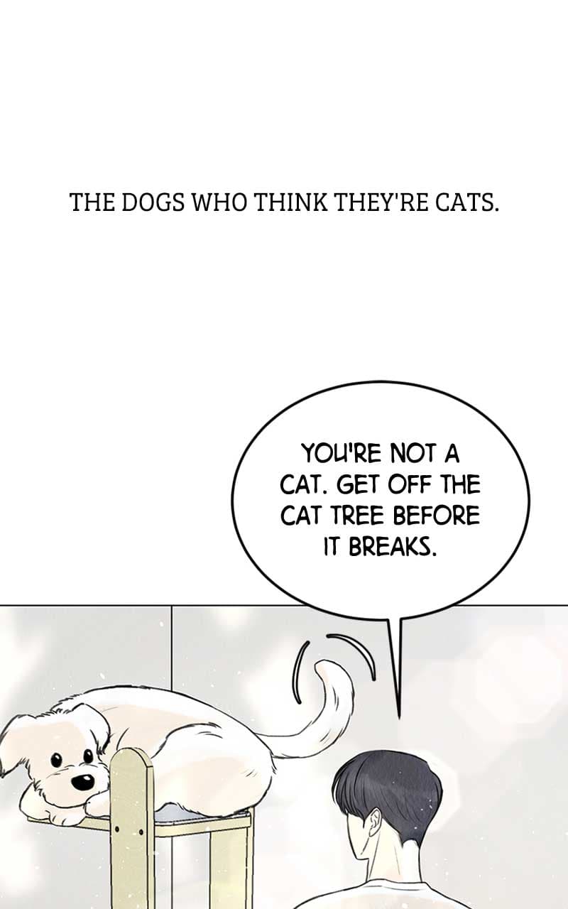 Page https://readmanhwaverse.com/images/want-to-see-my-cat/chapter-1/012.jpg