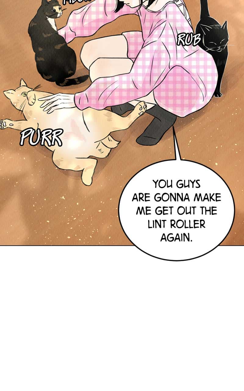 Page https://readmanhwaverse.com/images/want-to-see-my-cat/chapter-1/014.jpg
