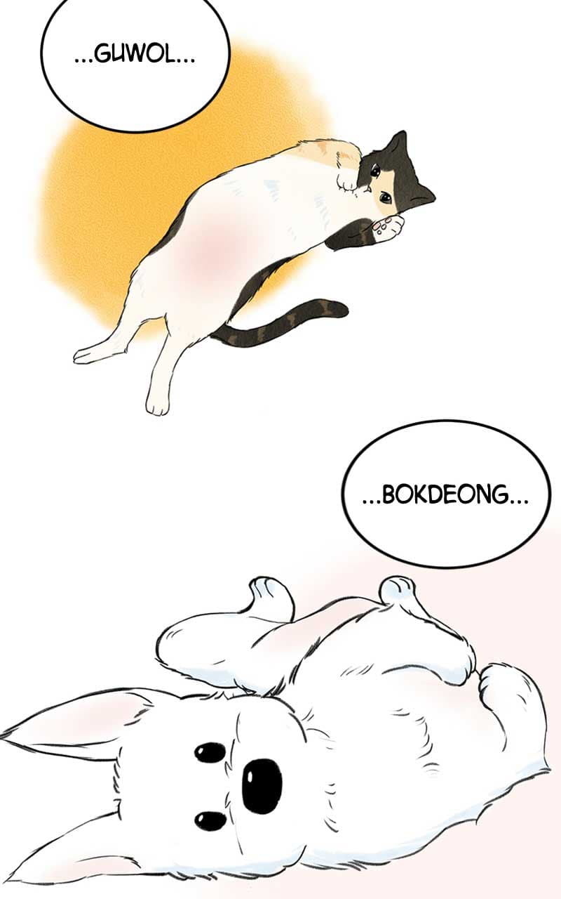 Page https://readmanhwaverse.com/images/want-to-see-my-cat/chapter-1/061.jpg