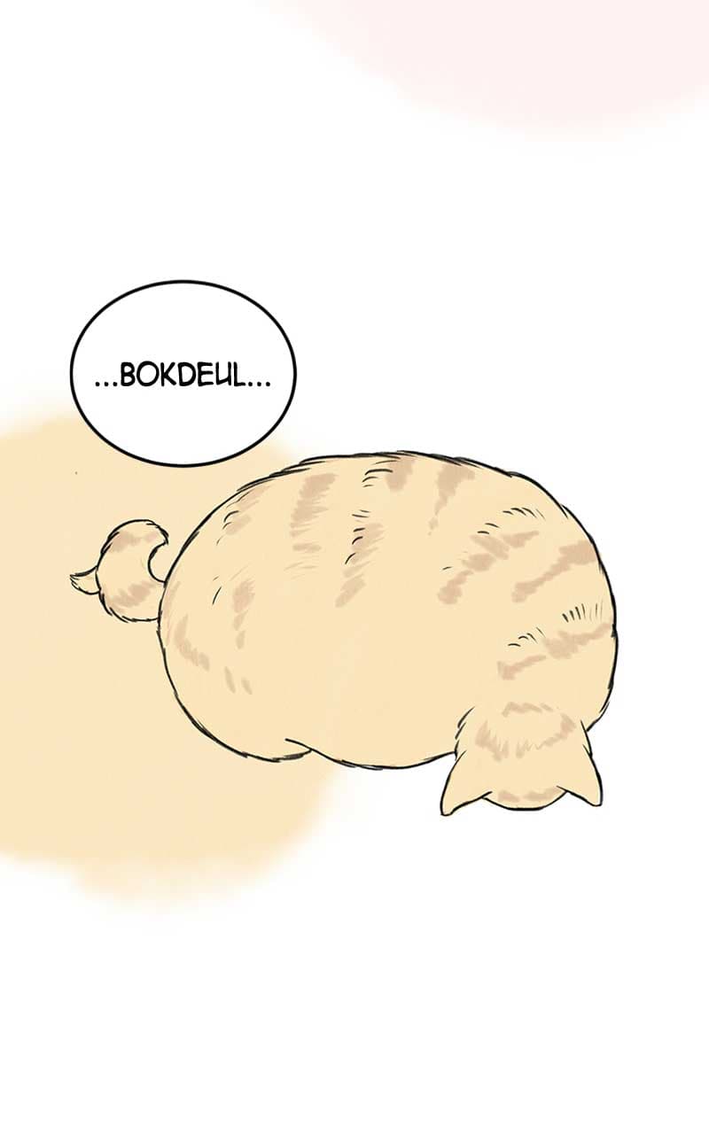Page https://readmanhwaverse.com/images/want-to-see-my-cat/chapter-1/062.jpg