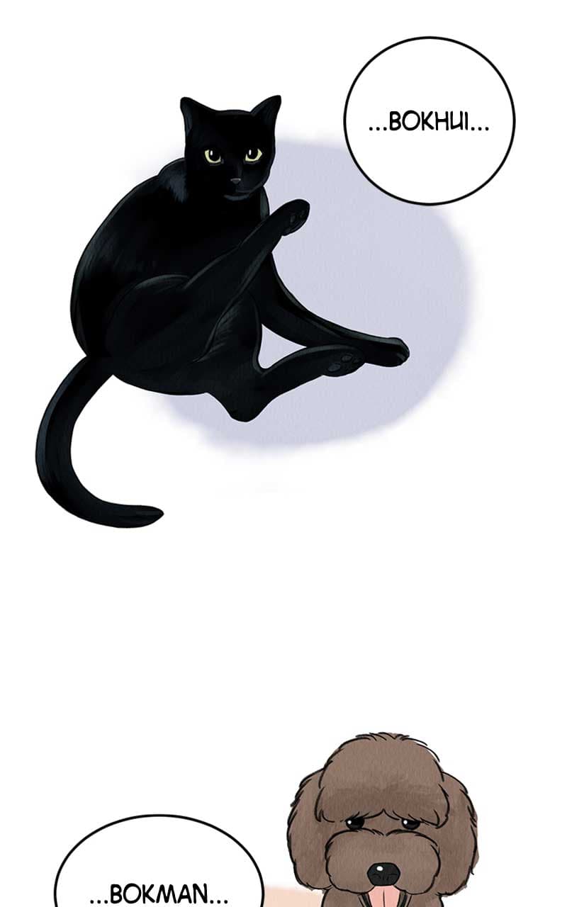 Page https://readmanhwaverse.com/images/want-to-see-my-cat/chapter-1/063.jpg