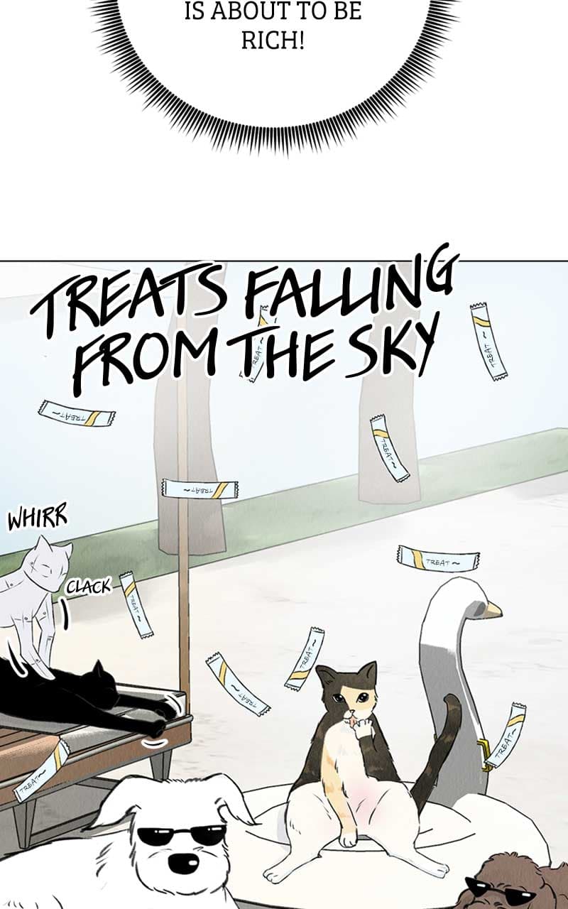 Page https://readmanhwaverse.com/images/want-to-see-my-cat/chapter-1/110.jpg