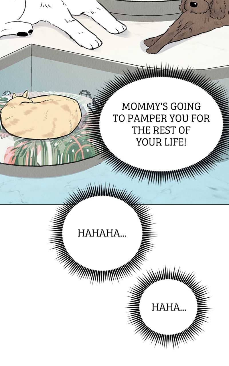 Page https://readmanhwaverse.com/images/want-to-see-my-cat/chapter-1/111.jpg