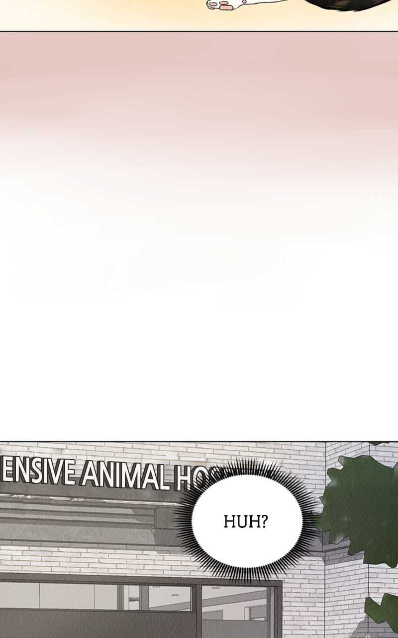 Page https://readmanhwaverse.com/images/want-to-see-my-cat/chapter-1/124.jpg