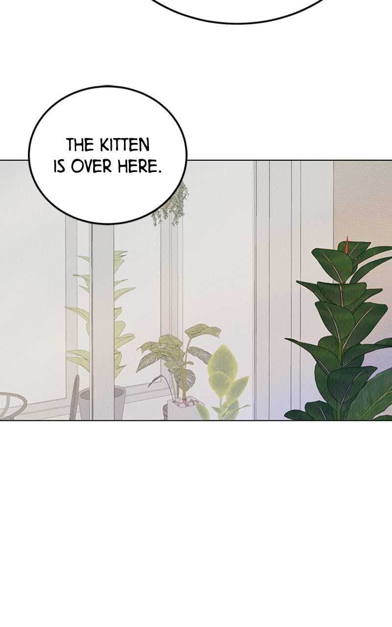 Page https://readmanhwaverse.com/images/want-to-see-my-cat/chapter-1/144.jpg