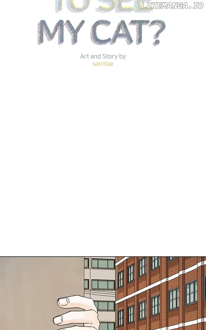 Page https://readmanhwaverse.com/images/want-to-see-my-cat/chapter-10/006.jpg