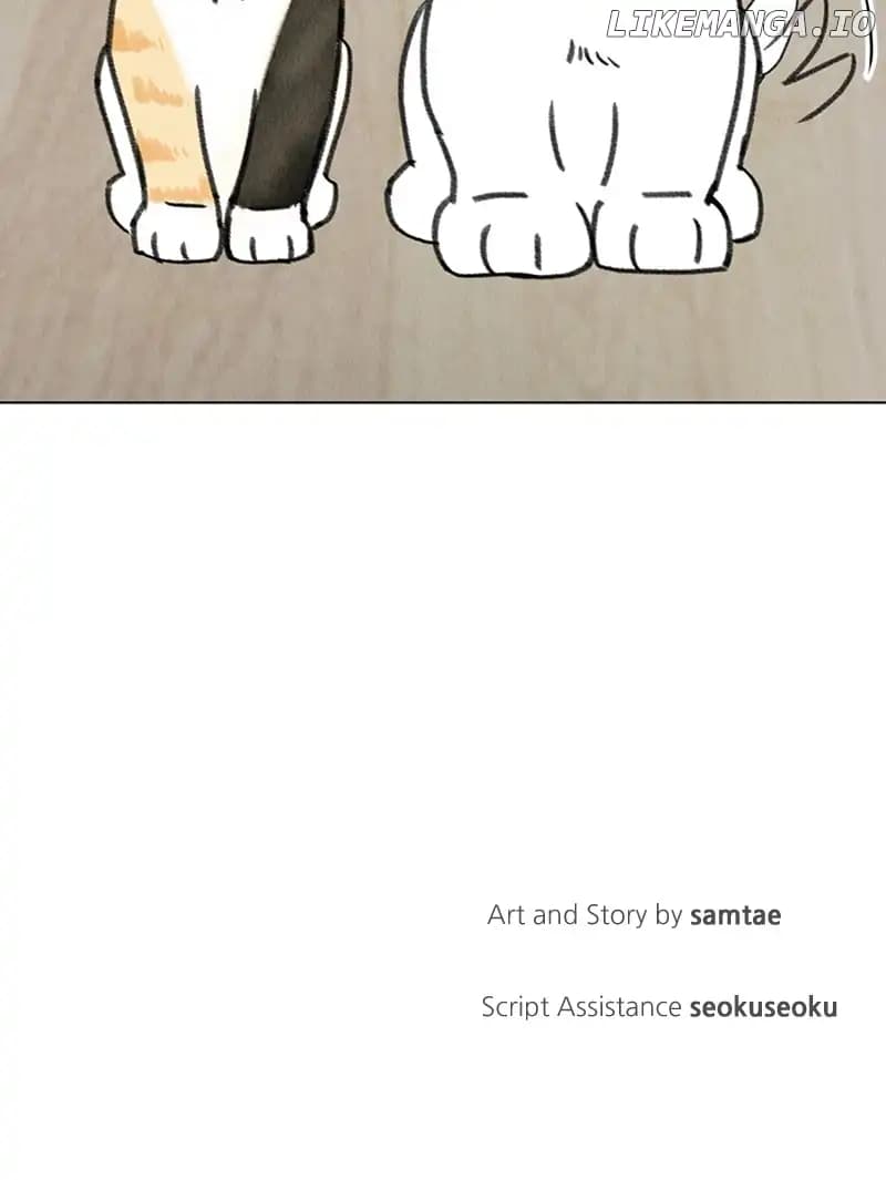 Page https://readmanhwaverse.com/images/want-to-see-my-cat/chapter-10/106.jpg