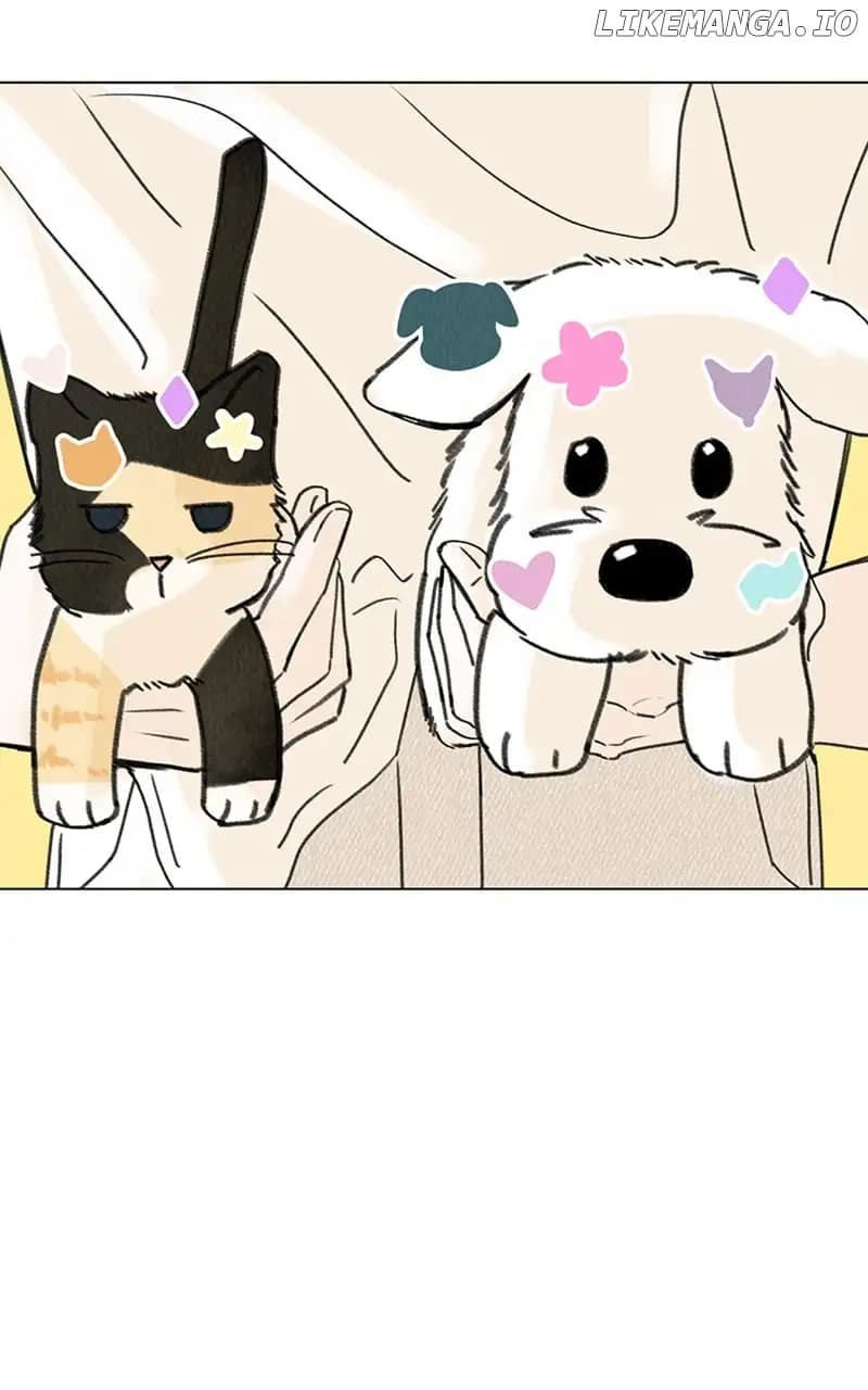 Page https://readmanhwaverse.com/images/want-to-see-my-cat/chapter-11/001.jpg