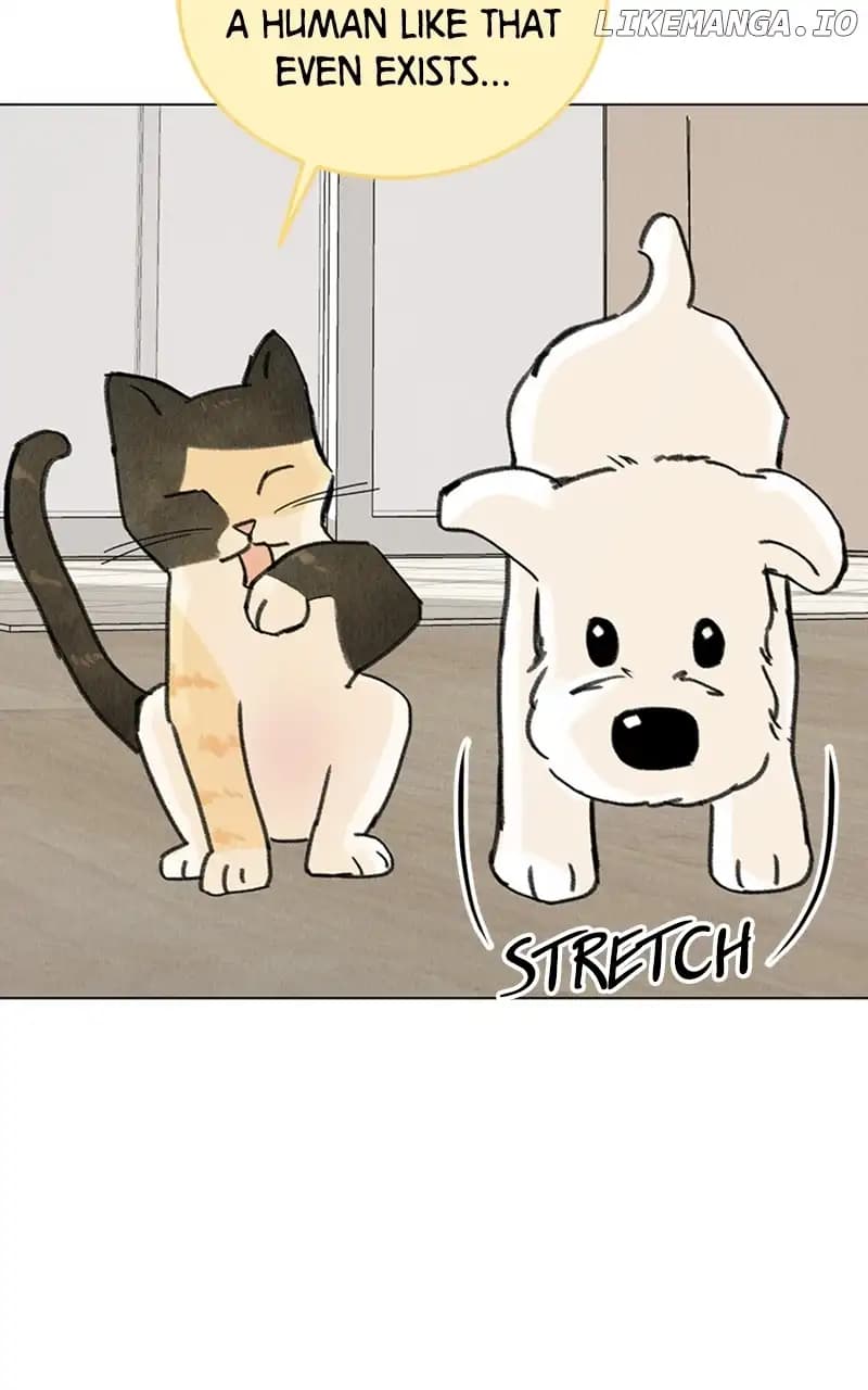 Page https://readmanhwaverse.com/images/want-to-see-my-cat/chapter-11/017.jpg