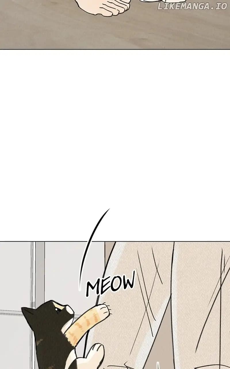 Page https://readmanhwaverse.com/images/want-to-see-my-cat/chapter-11/024.jpg