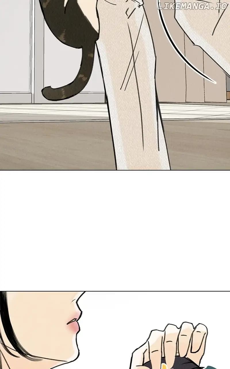 Page https://readmanhwaverse.com/images/want-to-see-my-cat/chapter-11/025.jpg