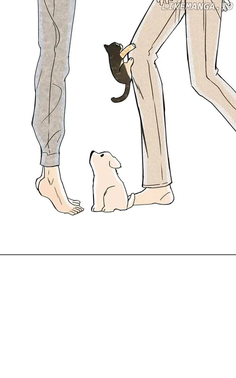 Page https://readmanhwaverse.com/images/want-to-see-my-cat/chapter-11/028.jpg
