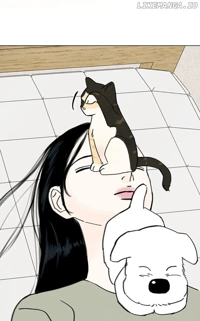 Page https://readmanhwaverse.com/images/want-to-see-my-cat/chapter-12/16.webp