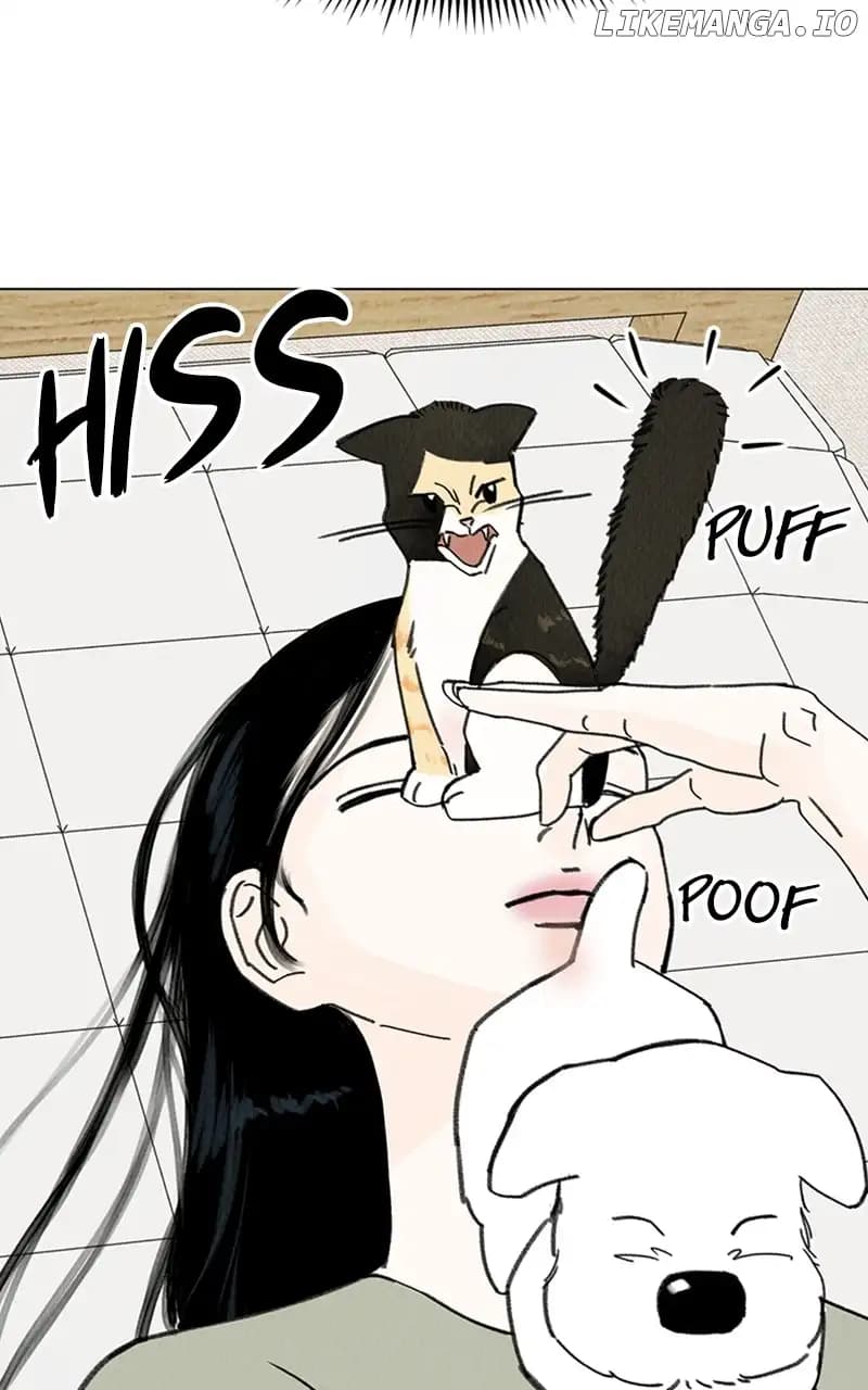Page https://readmanhwaverse.com/images/want-to-see-my-cat/chapter-12/22.webp