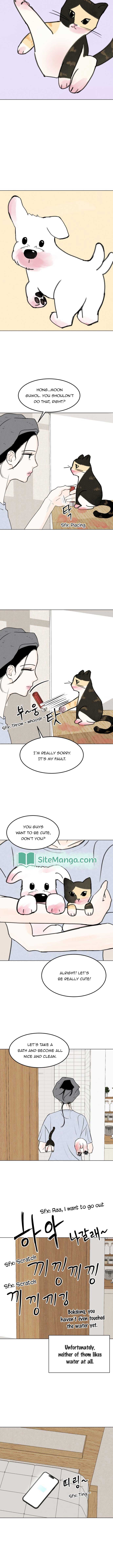 Page https://readmanhwaverse.com/images/want-to-see-my-cat/chapter-15/05.jpg
