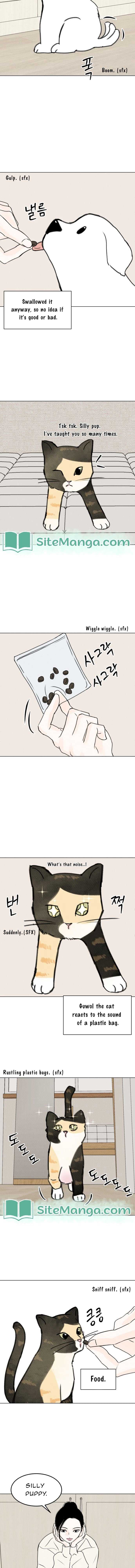 Page https://readmanhwaverse.com/images/want-to-see-my-cat/chapter-16/10.jpg