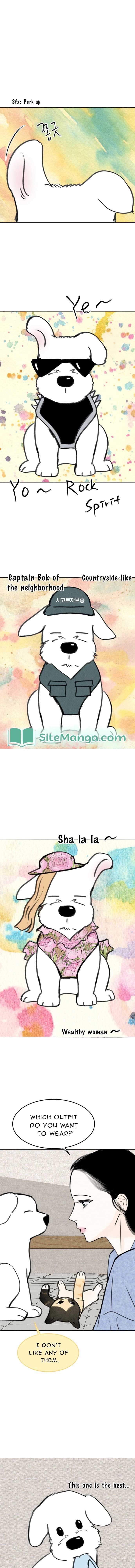 Page https://readmanhwaverse.com/images/want-to-see-my-cat/chapter-18/07.jpg