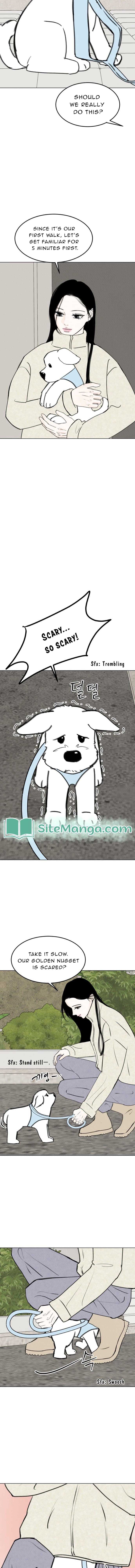 Page https://readmanhwaverse.com/images/want-to-see-my-cat/chapter-18/08.jpg