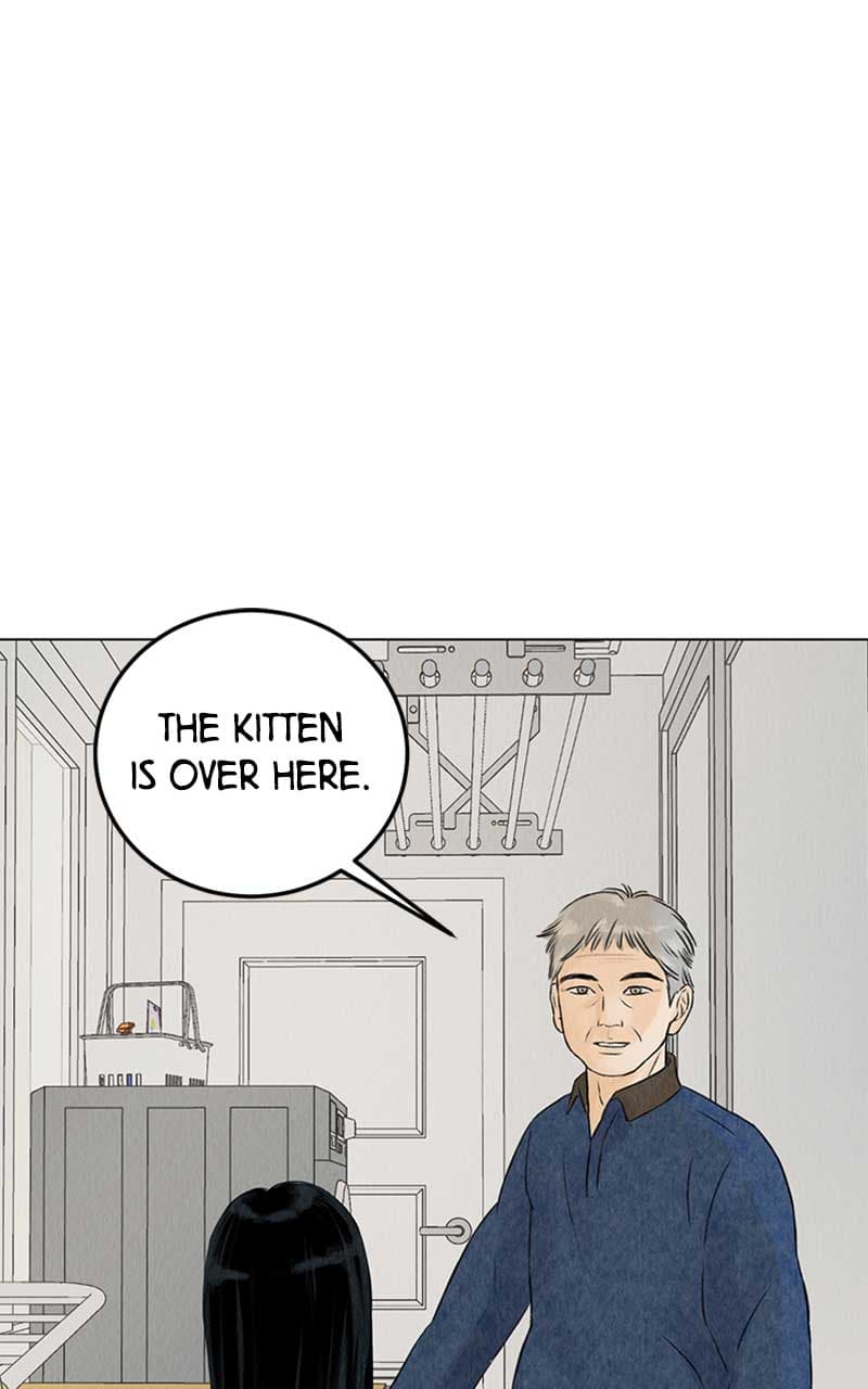 Page https://readmanhwaverse.com/images/want-to-see-my-cat/chapter-2/001.jpg
