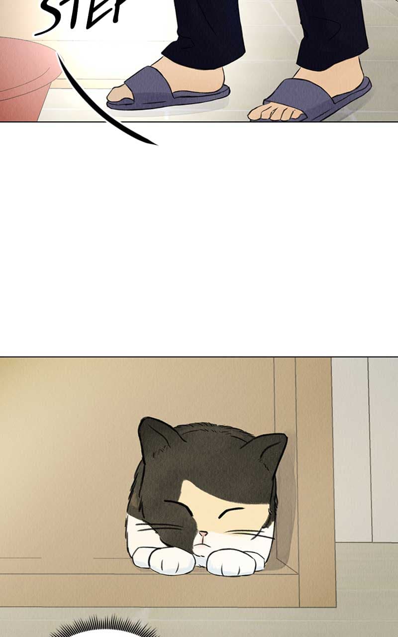 Page https://readmanhwaverse.com/images/want-to-see-my-cat/chapter-2/003.jpg