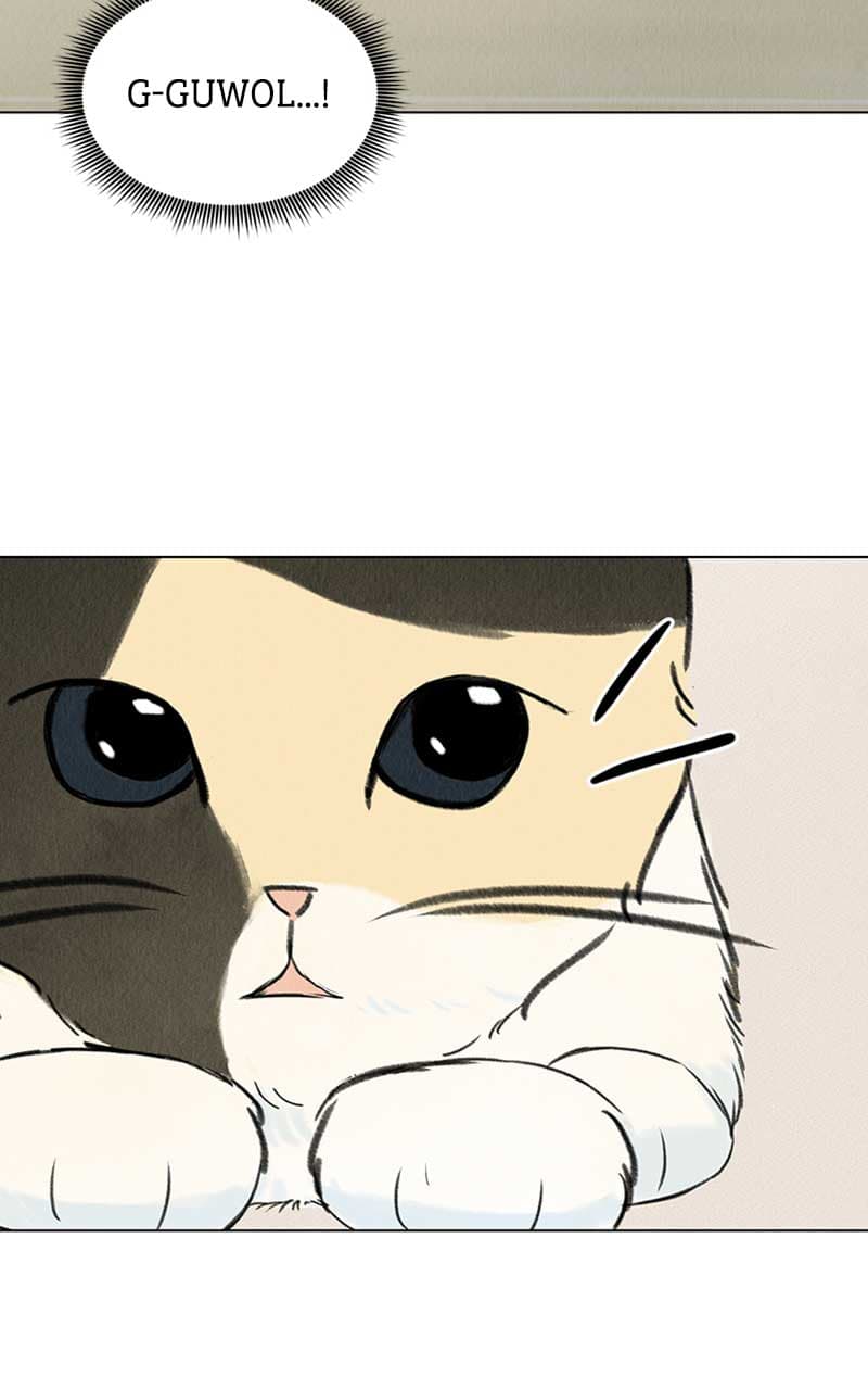 Page https://readmanhwaverse.com/images/want-to-see-my-cat/chapter-2/004.jpg