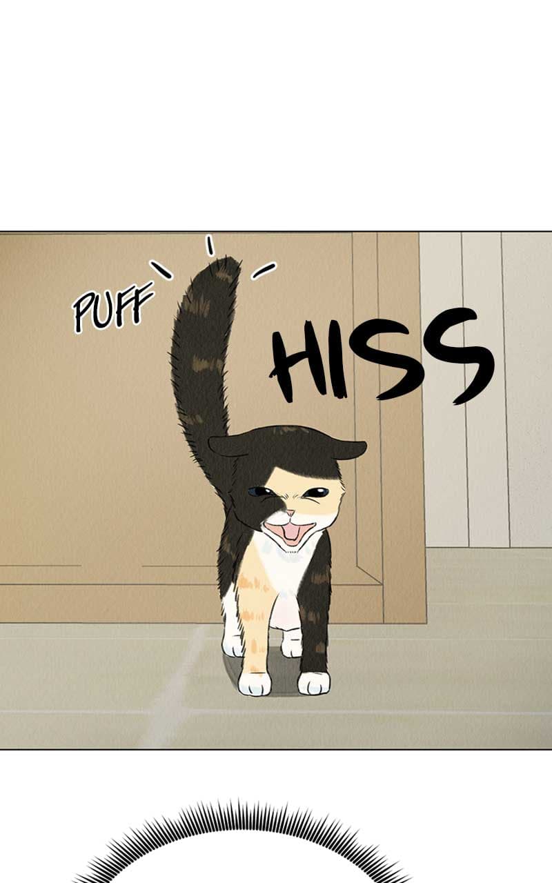 Page https://readmanhwaverse.com/images/want-to-see-my-cat/chapter-2/005.jpg