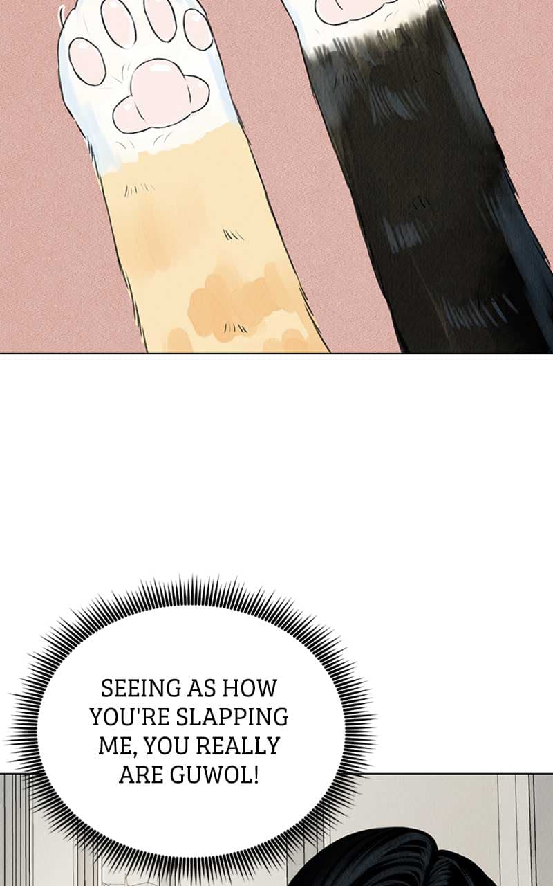 Page https://readmanhwaverse.com/images/want-to-see-my-cat/chapter-2/008.jpg