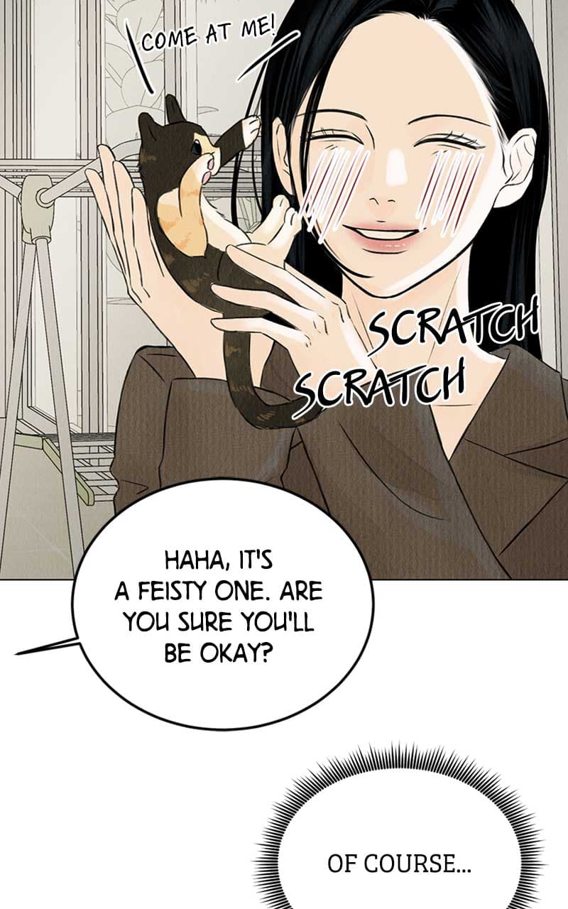 Page https://readmanhwaverse.com/images/want-to-see-my-cat/chapter-2/009.jpg