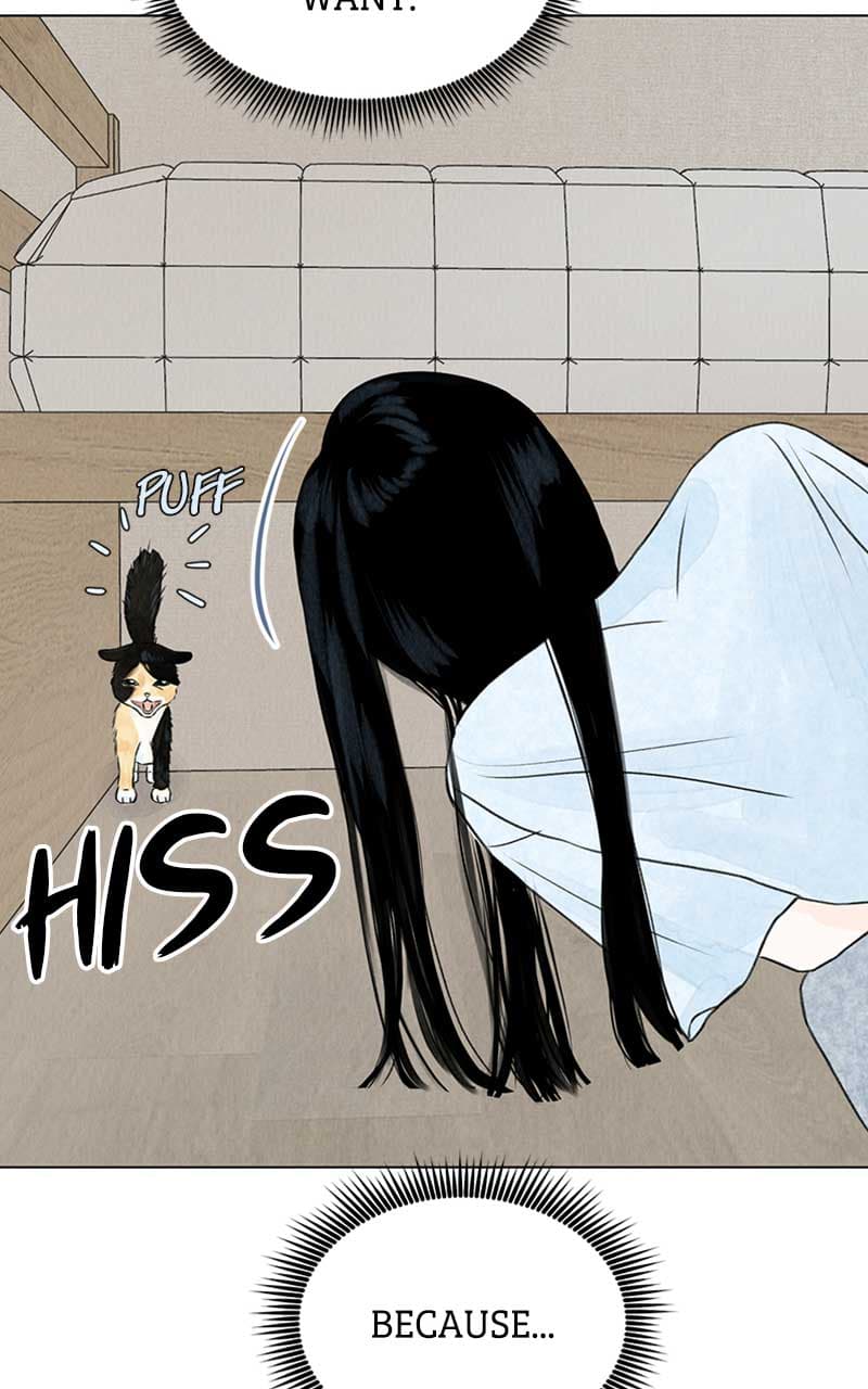 Page https://readmanhwaverse.com/images/want-to-see-my-cat/chapter-2/024.jpg