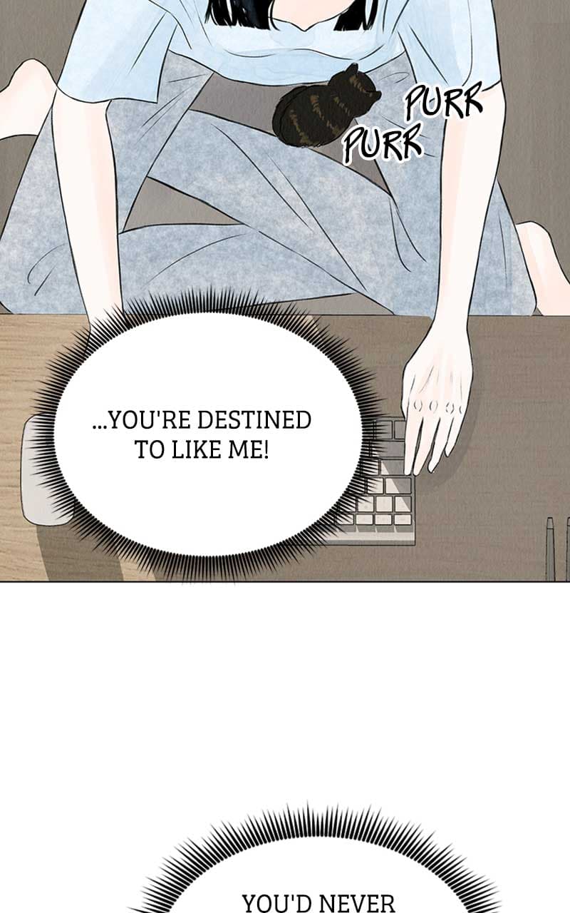Page https://readmanhwaverse.com/images/want-to-see-my-cat/chapter-2/026.jpg