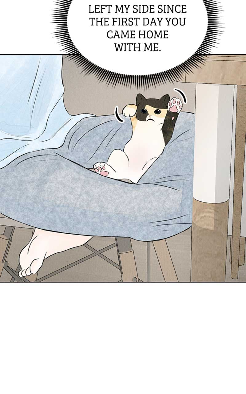 Page https://readmanhwaverse.com/images/want-to-see-my-cat/chapter-2/027.jpg