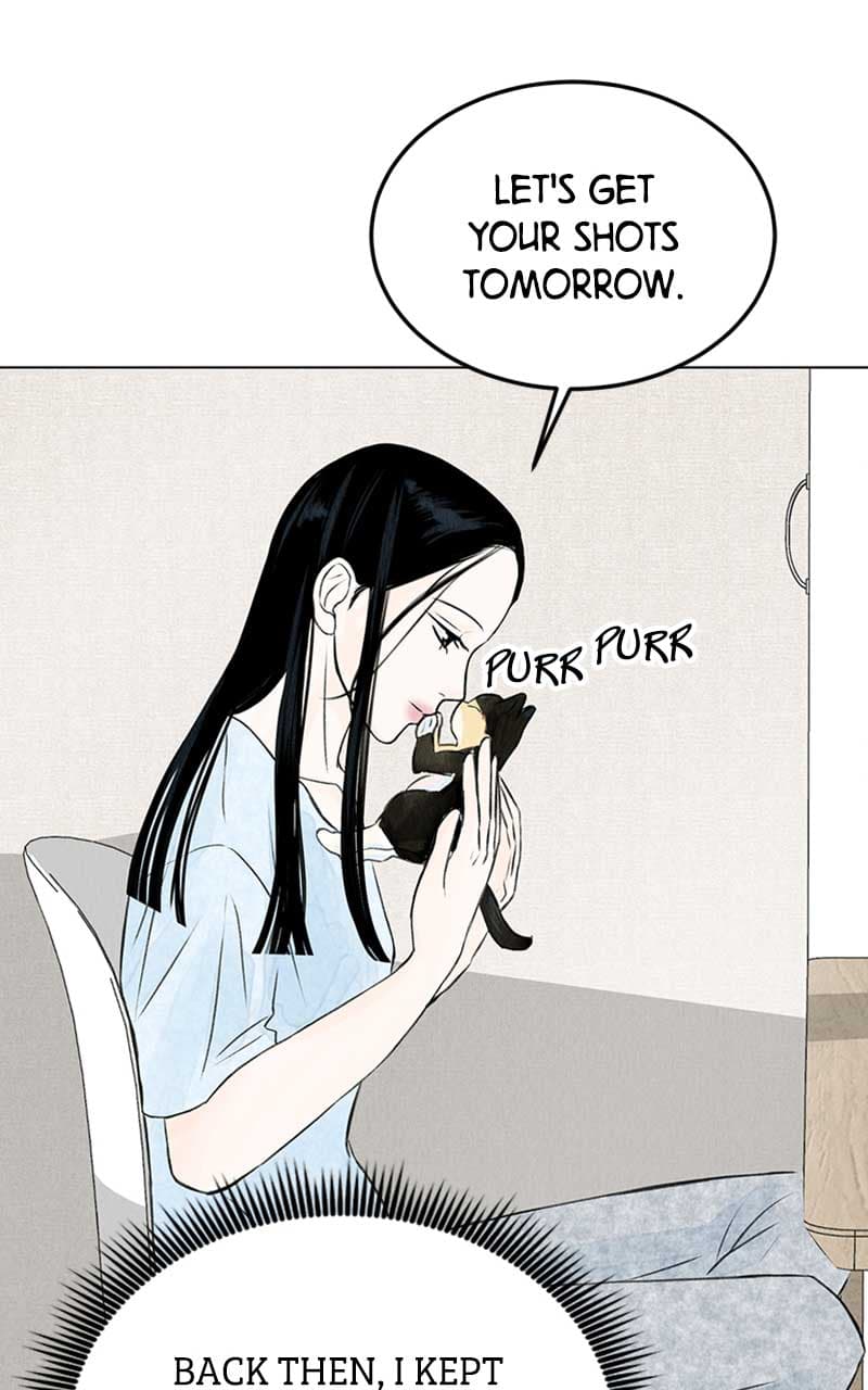 Page https://readmanhwaverse.com/images/want-to-see-my-cat/chapter-2/028.jpg