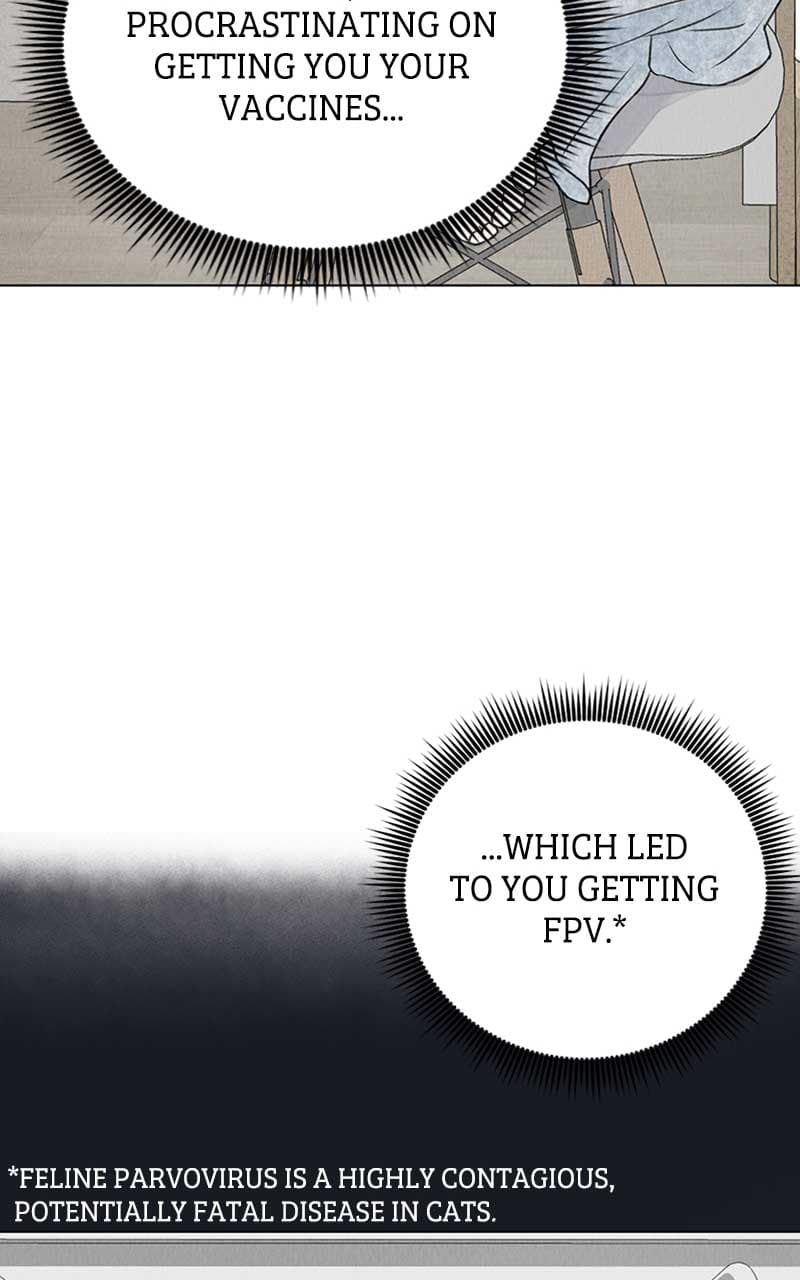 Page https://readmanhwaverse.com/images/want-to-see-my-cat/chapter-2/029.jpg
