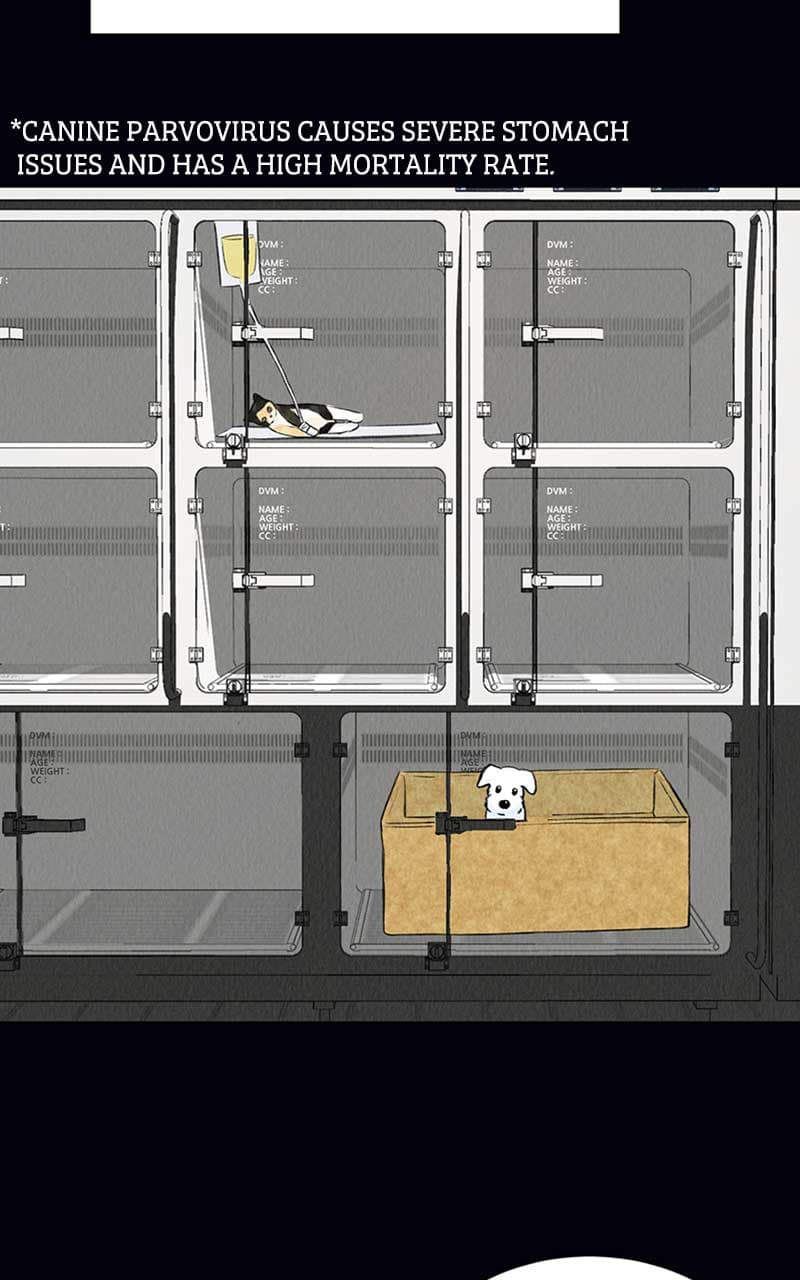 Page https://readmanhwaverse.com/images/want-to-see-my-cat/chapter-2/035.jpg