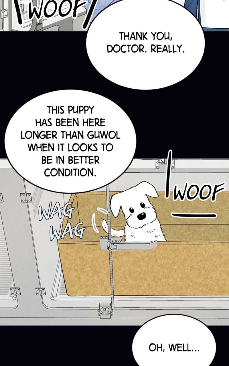 Page https://readmanhwaverse.com/images/want-to-see-my-cat/chapter-2/037.jpg