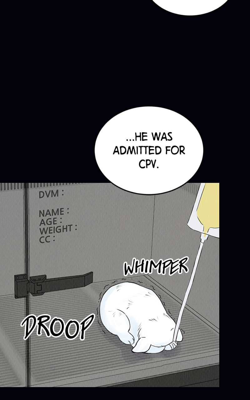 Page https://readmanhwaverse.com/images/want-to-see-my-cat/chapter-2/038.jpg