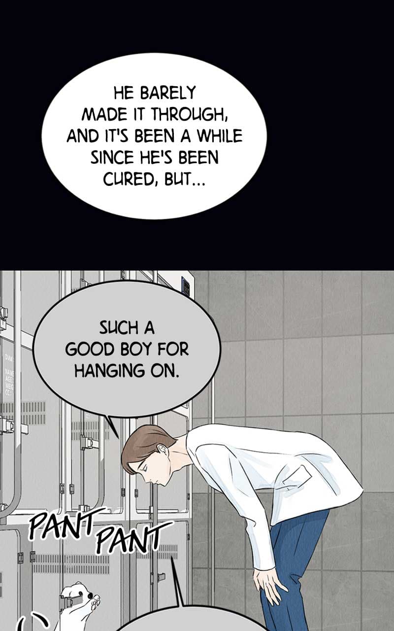 Page https://readmanhwaverse.com/images/want-to-see-my-cat/chapter-2/039.jpg