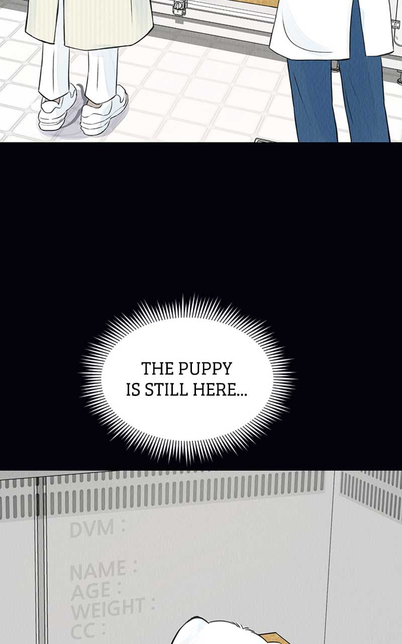 Page https://readmanhwaverse.com/images/want-to-see-my-cat/chapter-2/047.jpg